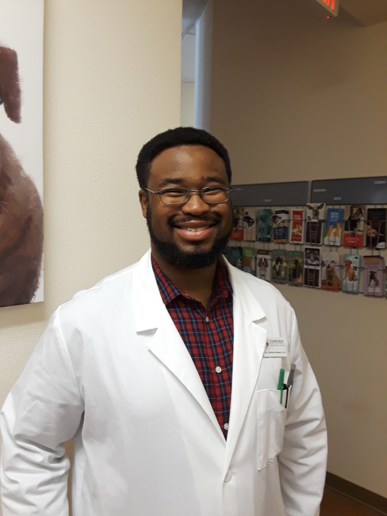 Our Veterinary Team Las Vegas Vet Companion Animal Hospital