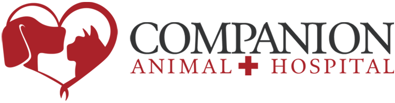 Veterinarian in Las Vegas, NV - Companion Animal Hospital